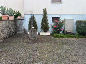 Miniaturansicht
